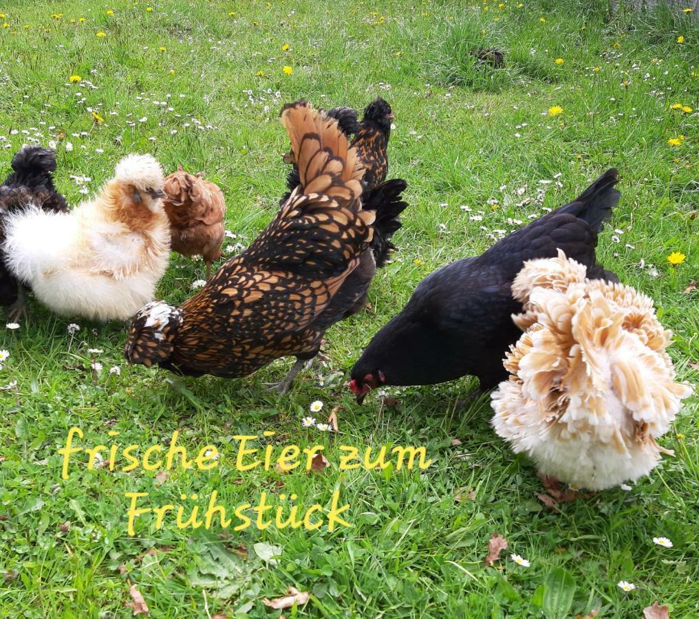 Ferienwohnung Andrea Sankt Gallenkirch Esterno foto